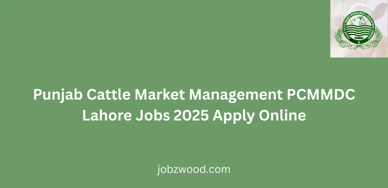 Punjab Cattle Market Management PCMMDC Lahore Jobs 2025 Apply Online